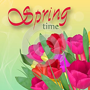 Spring bouquet flowers. Tulips on light background. Templates for spring holidays, banners social network. Spring time. Vector