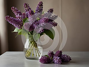 A spring bouquet of fresh cut fragrant purple lilacs in a vase.