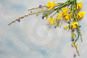 Spring bouquet with fresh daffodils, primroses and willow branches on the blue sky background