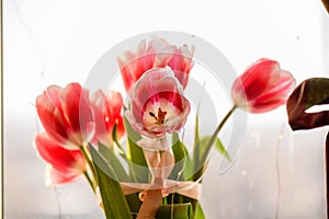 Spring bouquet of pink tulips on the background of the window. Spring flowers. Macro photography