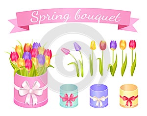 Spring Bouquet Set of Flowers Vector Illustration