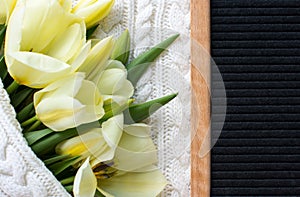 A spring bouquet of tulips on a white knitted background.