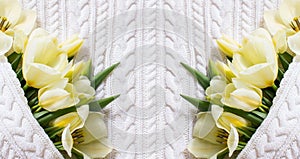 A spring bouquet of tulips on a white knitted background.