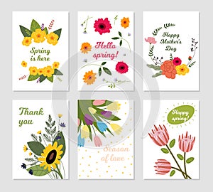 Spring bouquets card. Women invite, flowers seasonal postcards. Wild floral and branches banners. Cartoon tulips