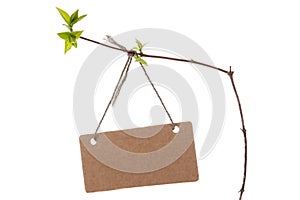 Spring branch with blank tag