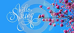 Spring branch of magnolia pink flowers of apple and text Hello Spring. Calligraphy lettering