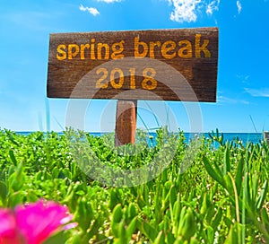 Spring break 2018 written on a wooden sign