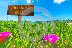 Spring break 2018 written on a wooden sign