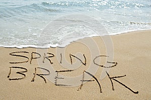 Spring break on the beach