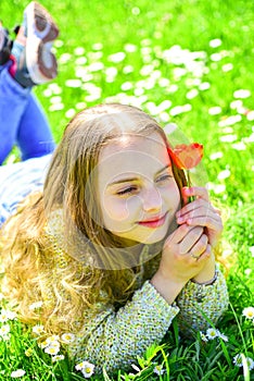 Spring break concept. Child enjoy spring sunny day while lying at meadow with daisy flowers. Girl on smiling face holds