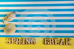 Spring break text, flat lay on a striped blue and yellow background, seashells with a copy of space, travel concept