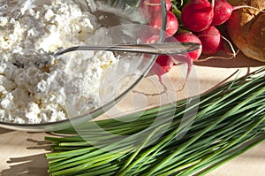 Spring breakfast ingredients - cottage cheese, chives, radish