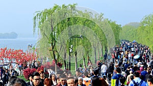 The spring breeze TaoGongLiuLu attraction The west lake bai causeway