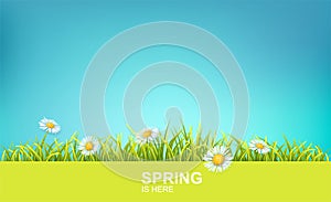 Spring Bright Background