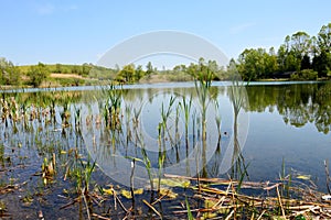 The spring brought the fisherman to the lake and clean air