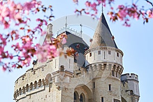 Spring in Brussels. View of the Halle Gate, medieval fortified city gate, through blooming trees.