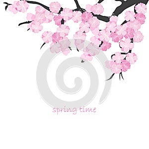 Spring card with cherry branch