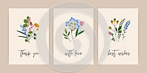Spring cards with flowers. Floral postcards designs, botanical nature backgrounds set with summer field herbs, beautiful