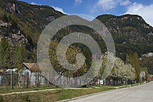 Spring on the Carretera Austral