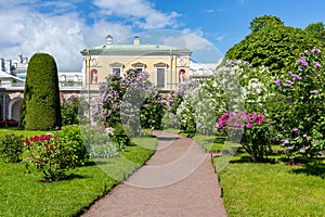 Spring in Catherine park in Pushkin Tsarskoe Selo, St. Petersburg, Russia