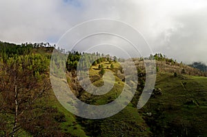 Primavera caucasico montagne 