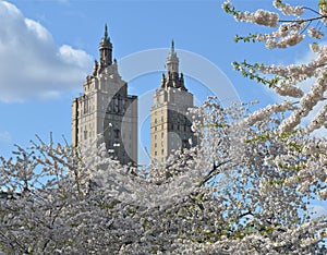 Spring in Central Park, Manhattan, New York.