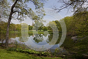 Spring in Central park, New York