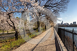 Spring in Central Park and Upper East Side. New York