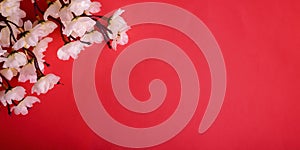 Spring cherry blossom border over red paper background layout. Chinese new year nature design. Flower decor for traditional asian