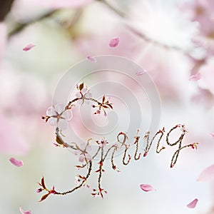 Spring Cherry Blossom Letters