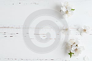 Spring cherry blossom on rustic wooden background.