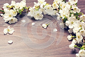 Spring Cherry Blossom on wood background