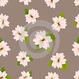 Spring cherry blossoms. Seamless pattern with Japanese sakura. Pink flowers on gray beige background. Romantic Vector illustration