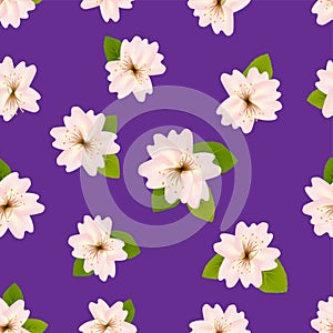 Spring cherry blossoms. Seamless pattern with Japanese sakura. Pink flowers on purple background. Romantic Vector illustration.