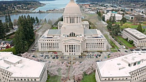 Spring Cherry Blossoms at the State Capital Building in Olympia Washington