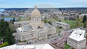 Spring Cherry Blossoms at the State Capital Building in Olympia Washington