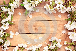 Spring Cherry flowers frame on wooden background