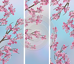 Spring Cherry Sakura Banners