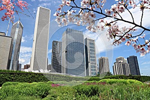 Spring in Chicago city