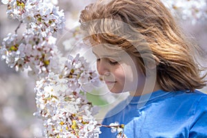 The spring. Child in spring garden. Kid under a blossom flowering tree. Kid in blossom park. Child play in Spring garden