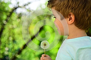 Spring children background. Pollinosis. Dandelion and boy. Spring allergy. Garden and flowers. photo