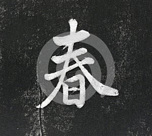 Spring Chinese Calligraphy