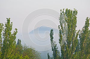 Spring city landscape - morning fog, green trees and sky with clouds