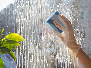 Spring cleaning - cleaning windows. Women`s hands wash the window, cleaning