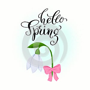 Spring clip art - snowdrop flower with bow and hand drawn lettering Hello Spring for seasonal greeting card, poster, banner,
