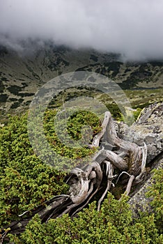 Spring cloudy landscape in Retezat Mountains