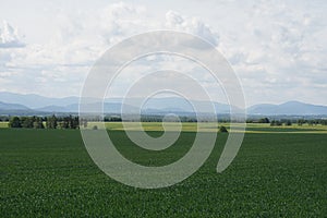 Spring cloudy landscape view 4