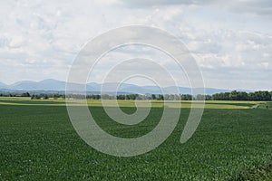 Spring cloudy landscape view 5