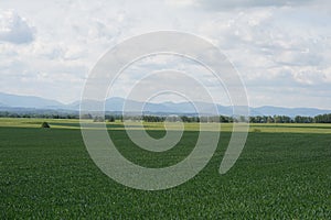 Spring cloudy landscape view 6