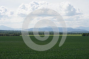 Spring cloudy landscape view 7